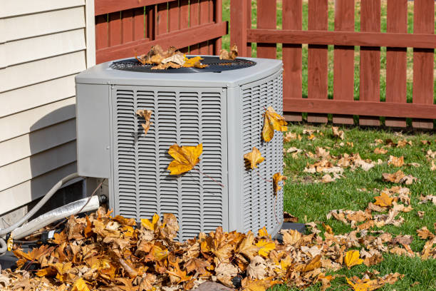 Best HVAC air duct cleaning  in West Van Lear, KY